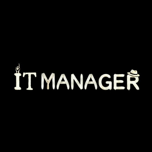 IT Manager
